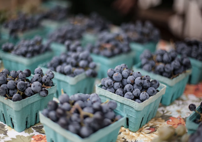 Blueberries for sale